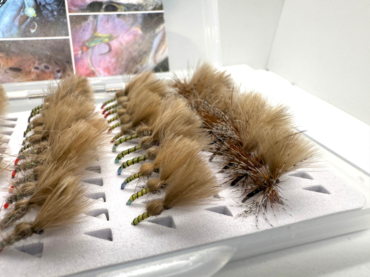 Full Range Shuttlecock Selection Box (48 Flies)