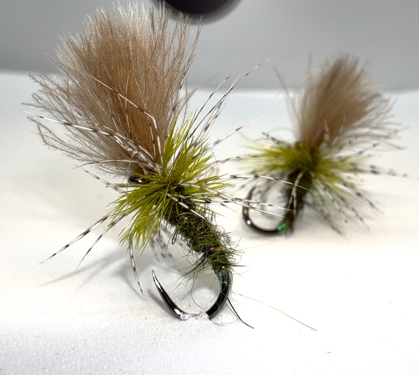 Olive Grunter