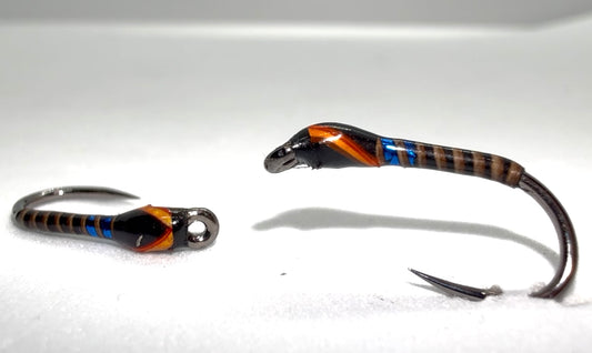 Orange Cheek Blue Collar Stripped Quill Buzzer