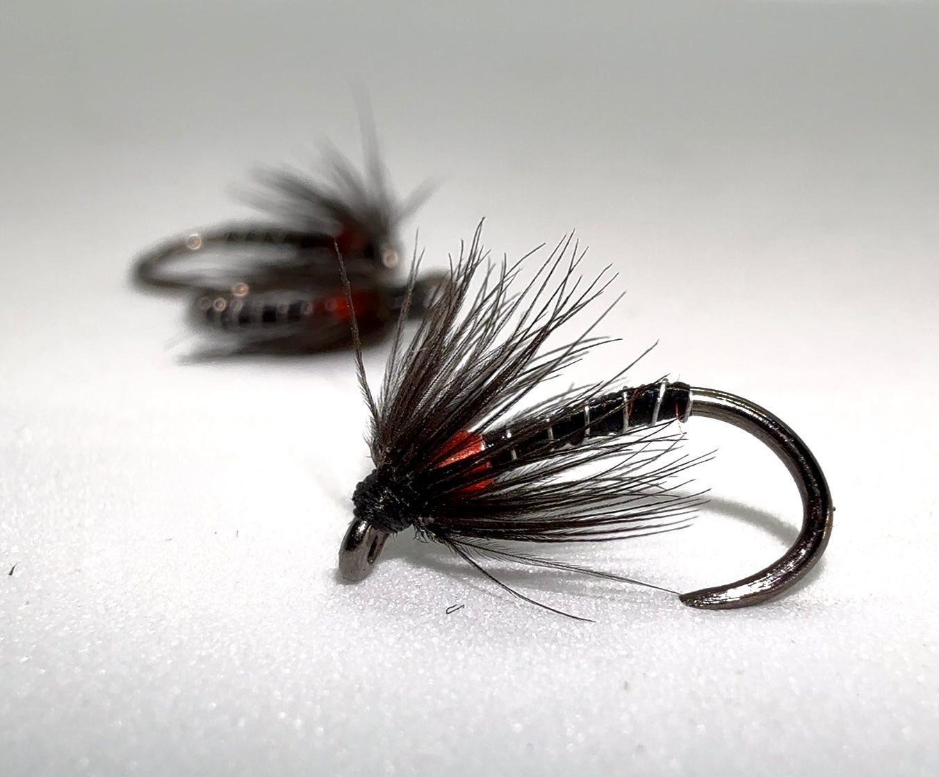 Black and Red Spider