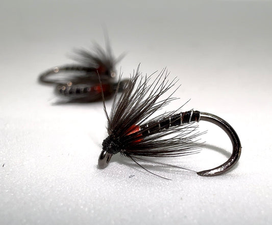 Black and Red Spider