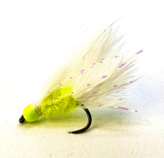 Yellow Head - Cats Whisker