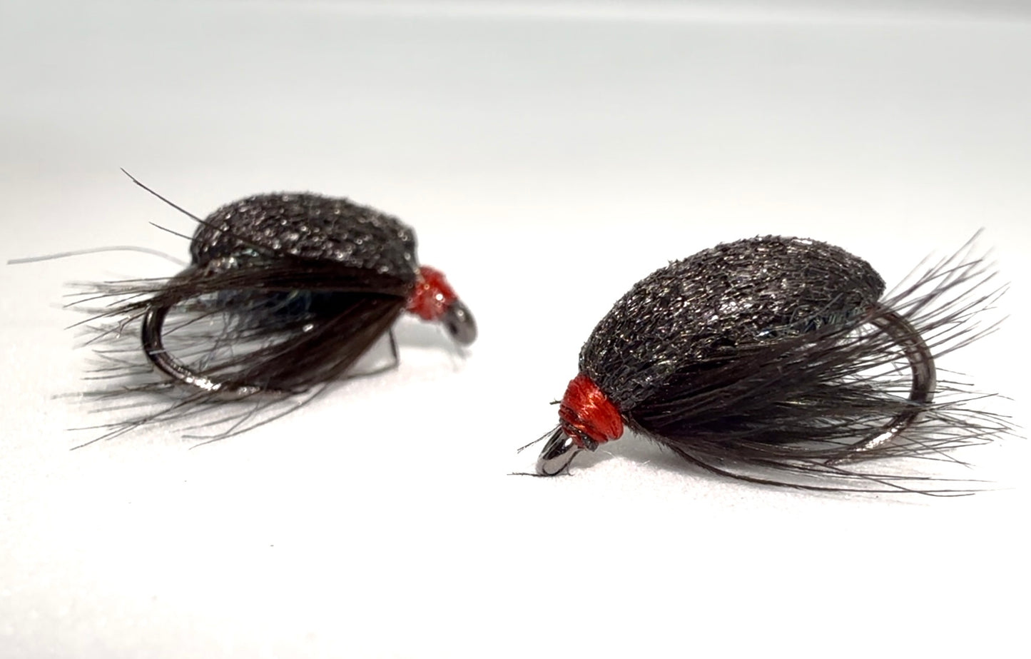 Black Foam Beetle