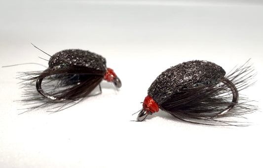 Black Foam Beetle
