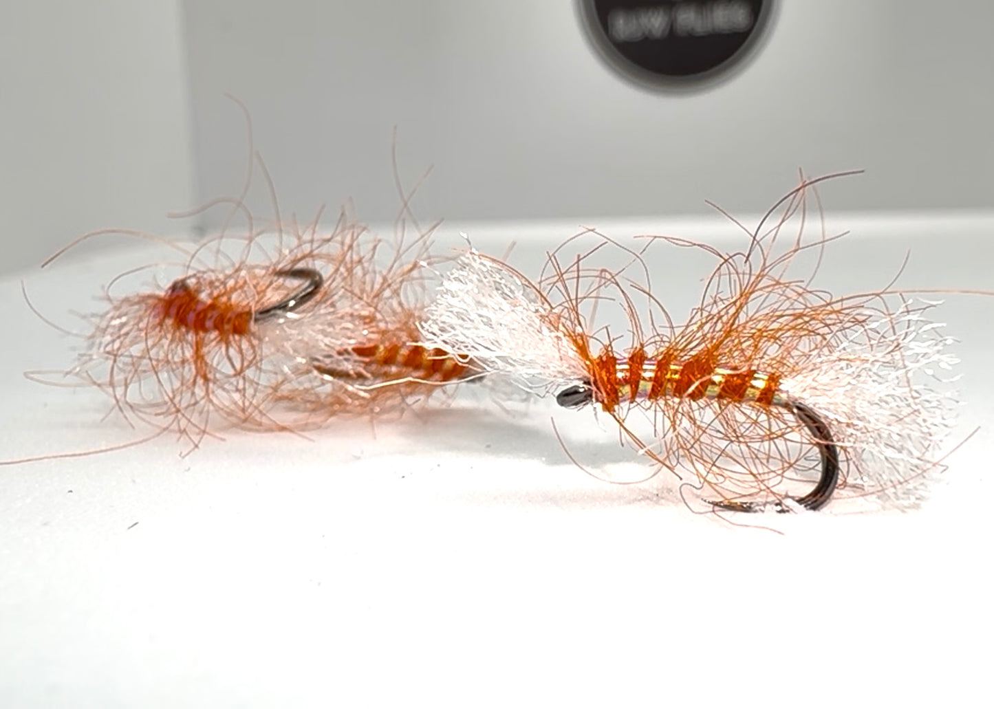Scruffy Orange Shipman’s