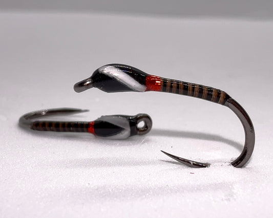 White Cheeks / Red Collar Stripped Quill Buzzer