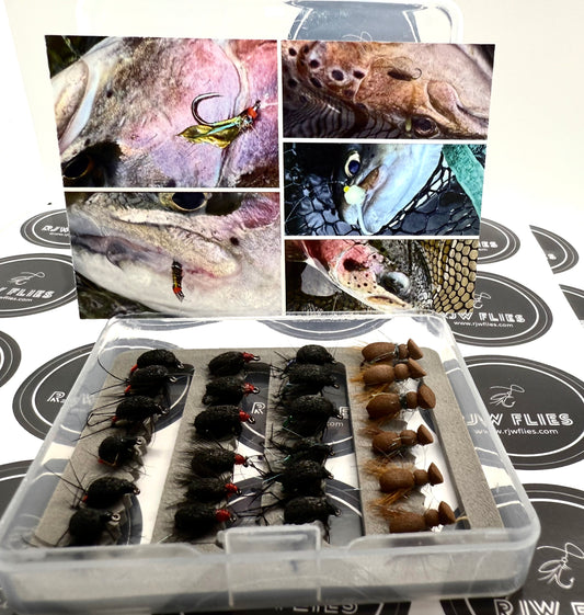 Foam Beetle Selection Box (#14 & #16)
