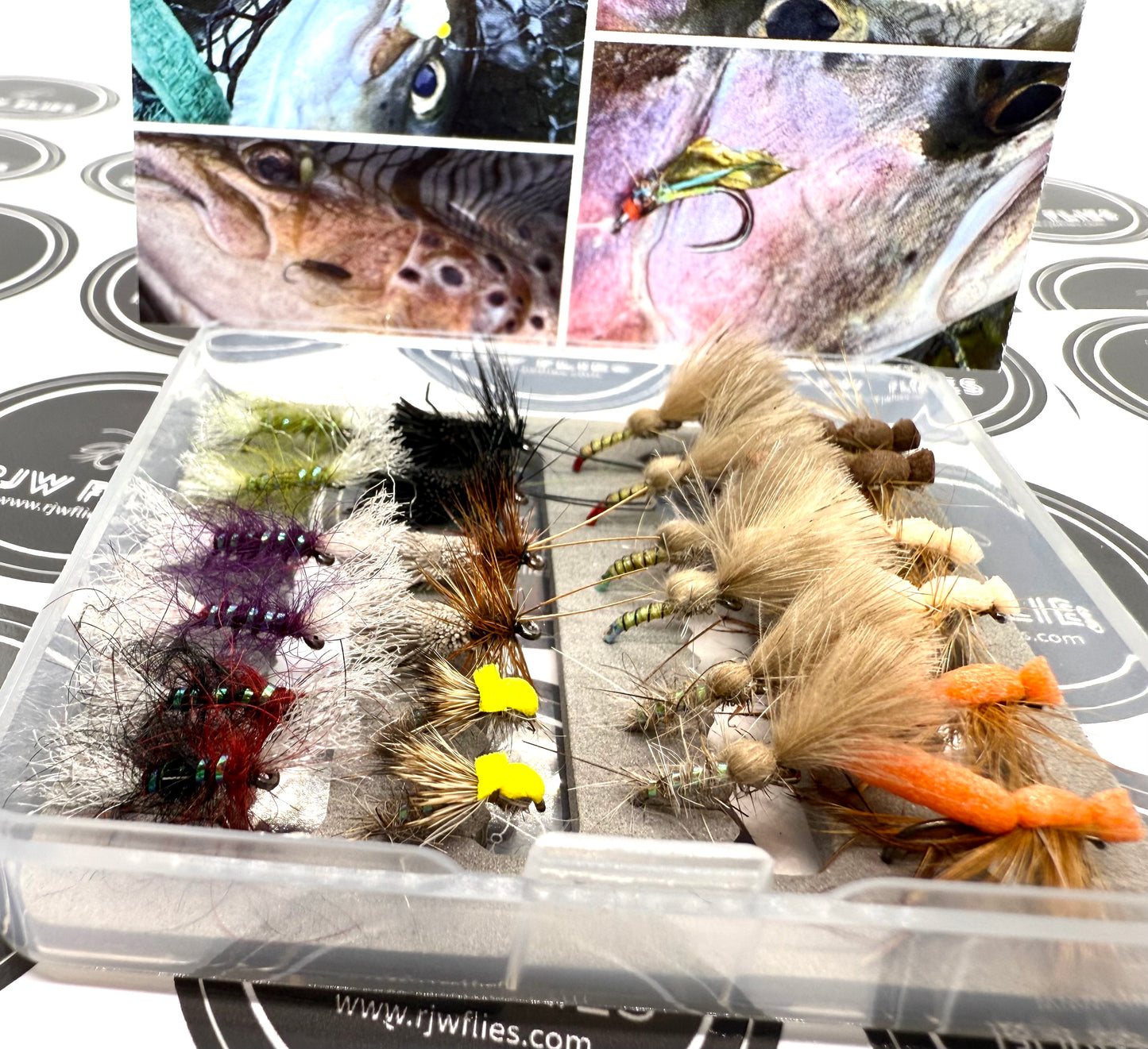 Mini Dry Fly Selection Box