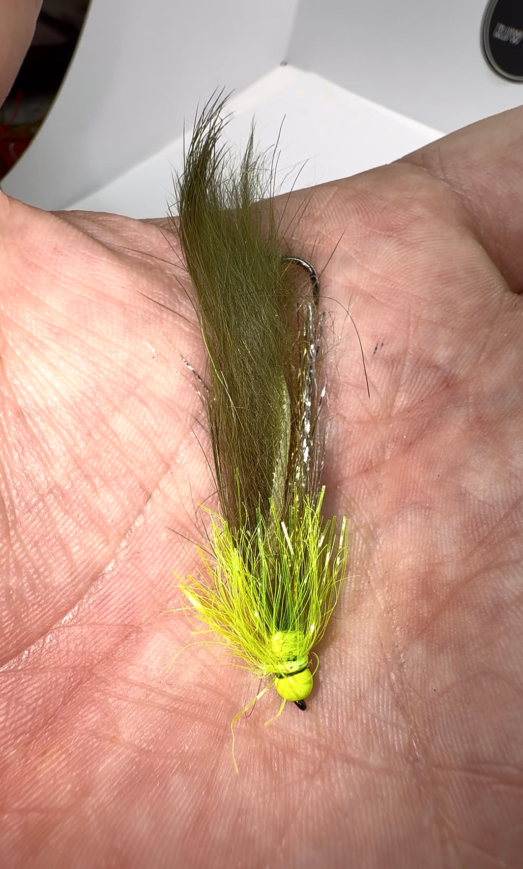 FL Yellow and Dark Olive Snake