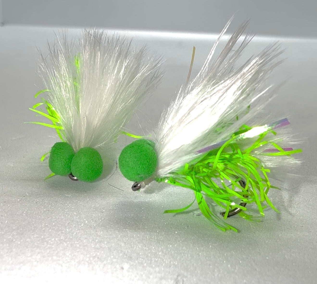 Neon Straggle Cat Booby
