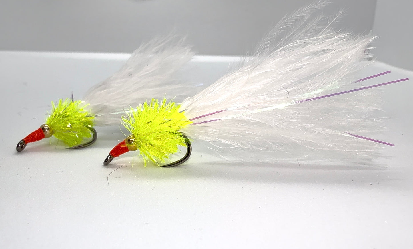 Cats Whisker Nomad