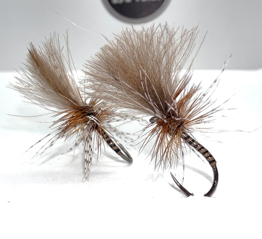 The Grunter