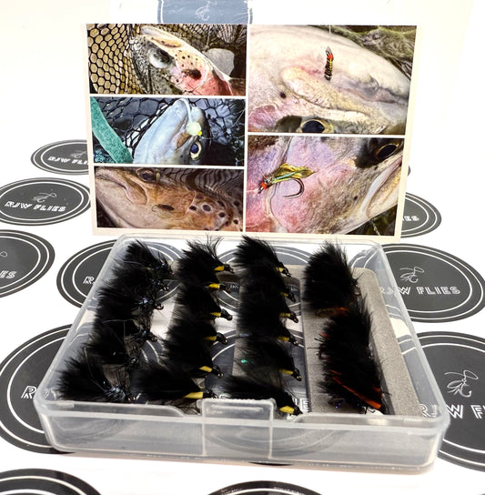 30 Fly - Cormorant Selection Box - Size 14